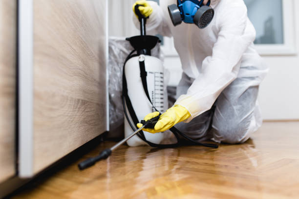 Best Commercial Pest Control Services  in Scow Mills, MO