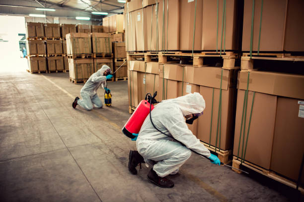 Best Affordable Pest Control Services  in Scow Mills, MO
