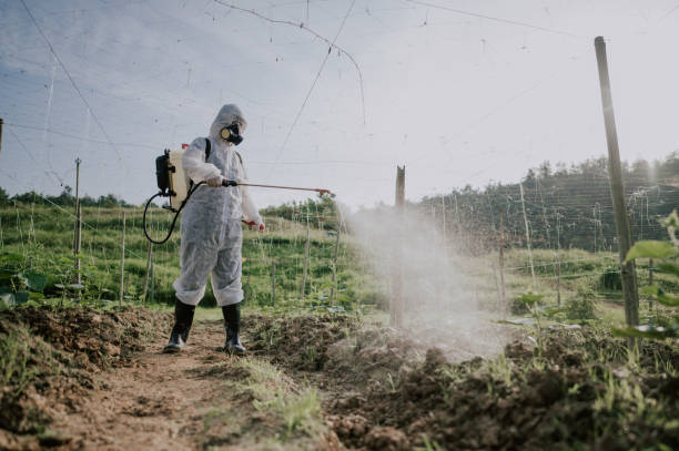 Pest Control Cost in Moscow Mills, MO