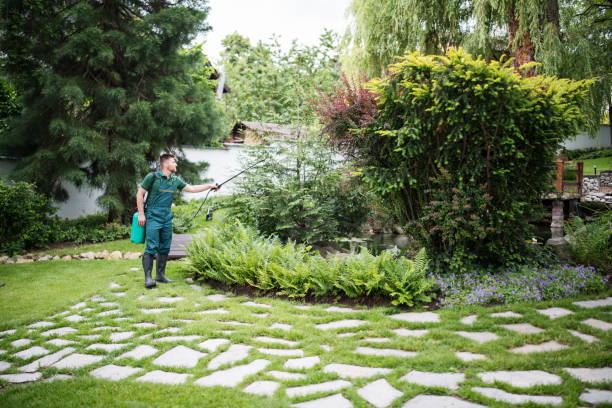 Best Local Pest Control Services  in Scow Mills, MO