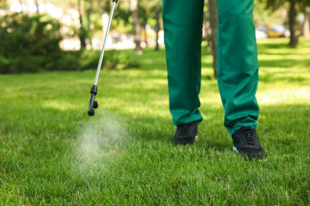 Best Residential Pest Control  in Scow Mills, MO