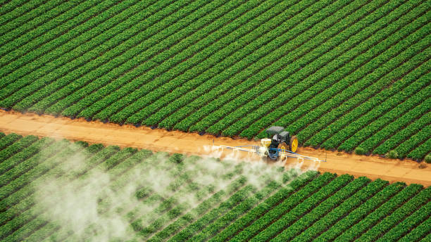 Best Best Pest Control Companies  in Scow Mills, MO