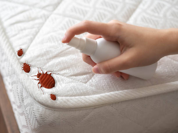 Best Exterminator Services  in Scow Mills, MO