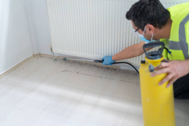 Best Cockroach Control Services  in Scow Mills, MO