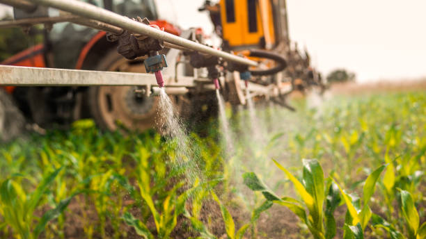 Best Ant Control Services  in Scow Mills, MO