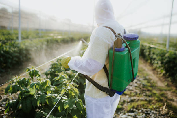 Flea Control Services in Moscow Mills, MO